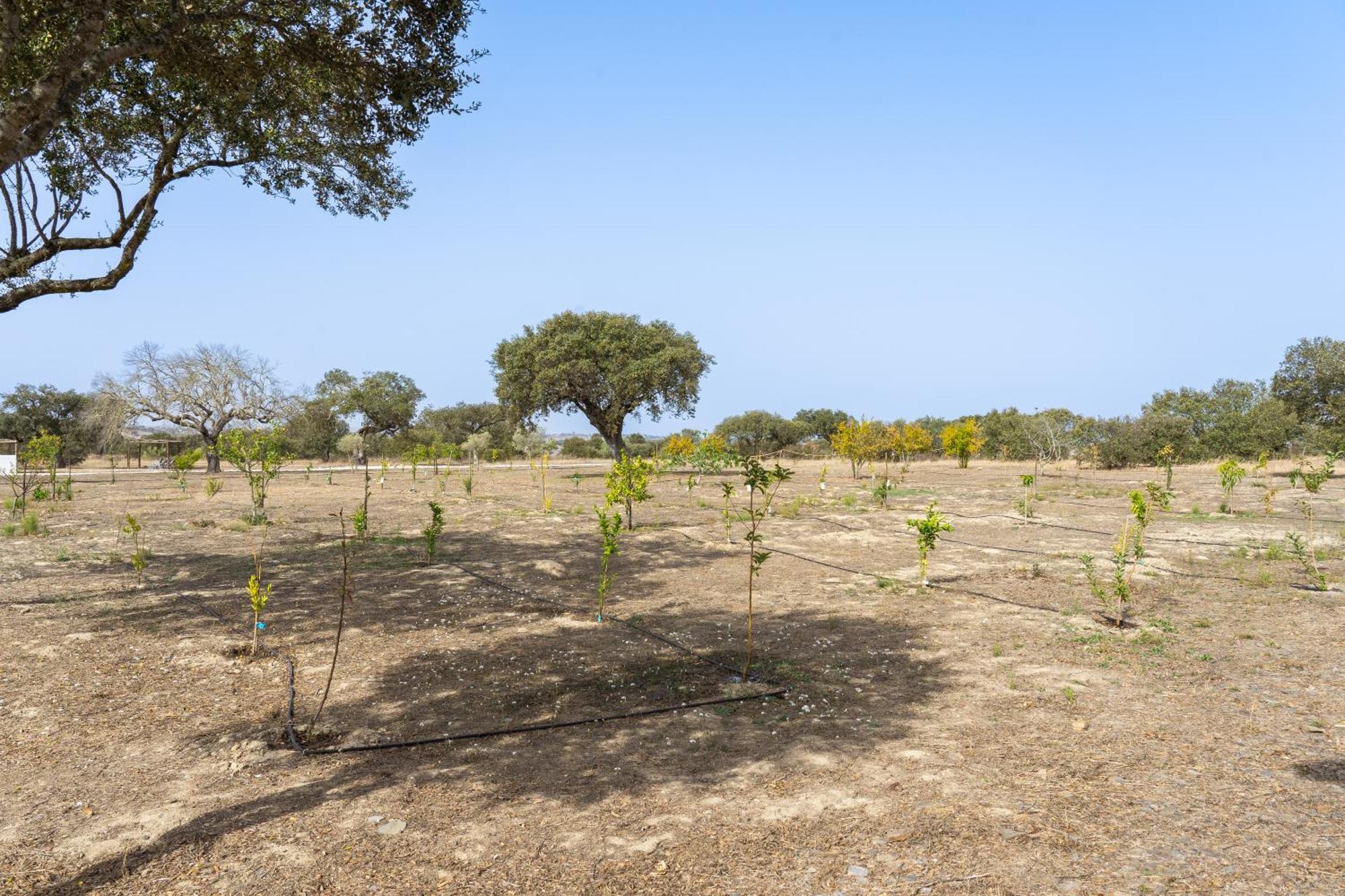 Change The World - Herdade Monte Do Peral Montes Juntos エクステリア 写真