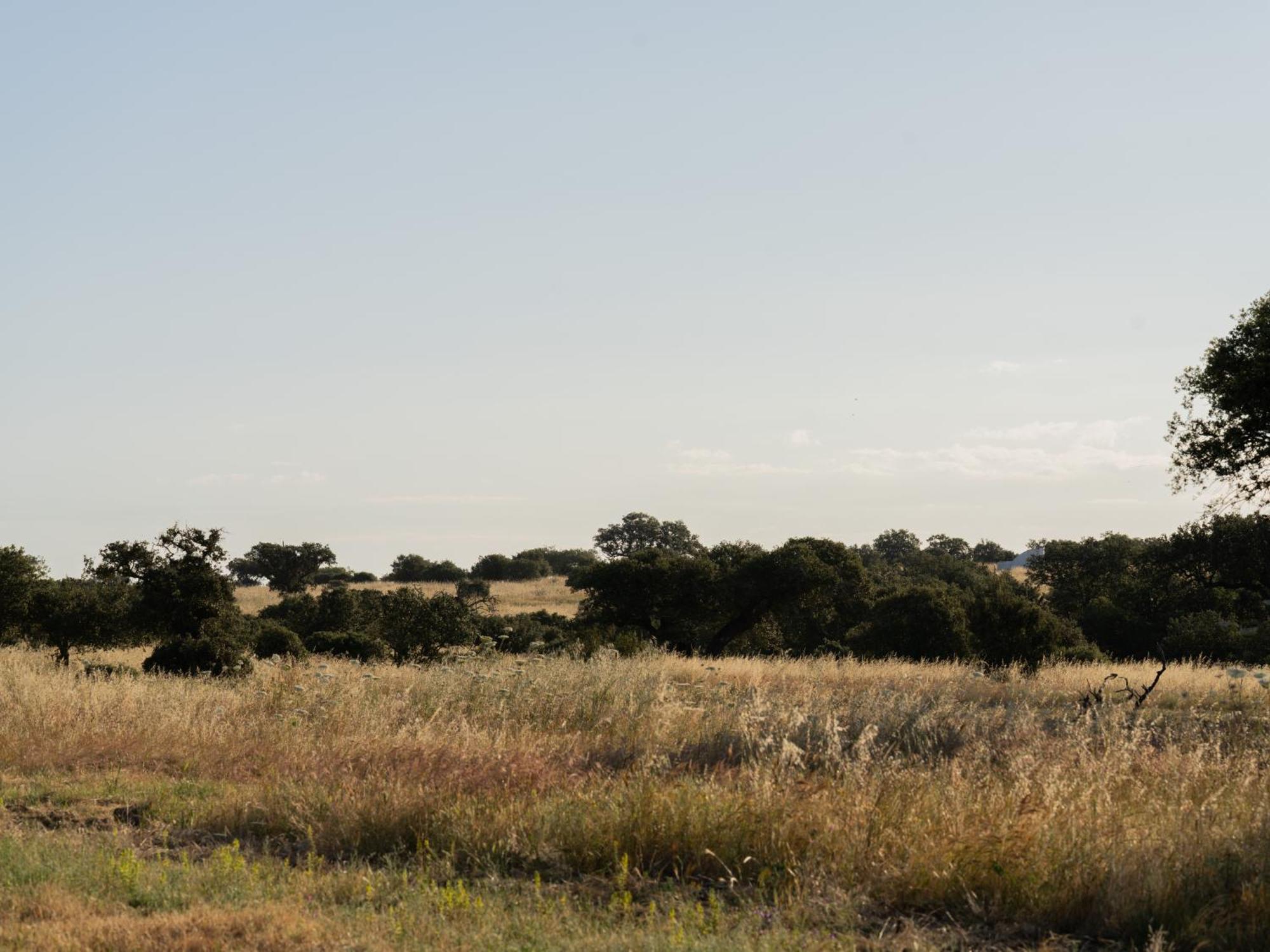 Change The World - Herdade Monte Do Peral Montes Juntos エクステリア 写真